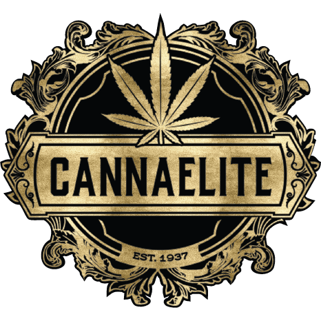 CE Logo 9 Logo Metallic Gold Photoshop PNG 11