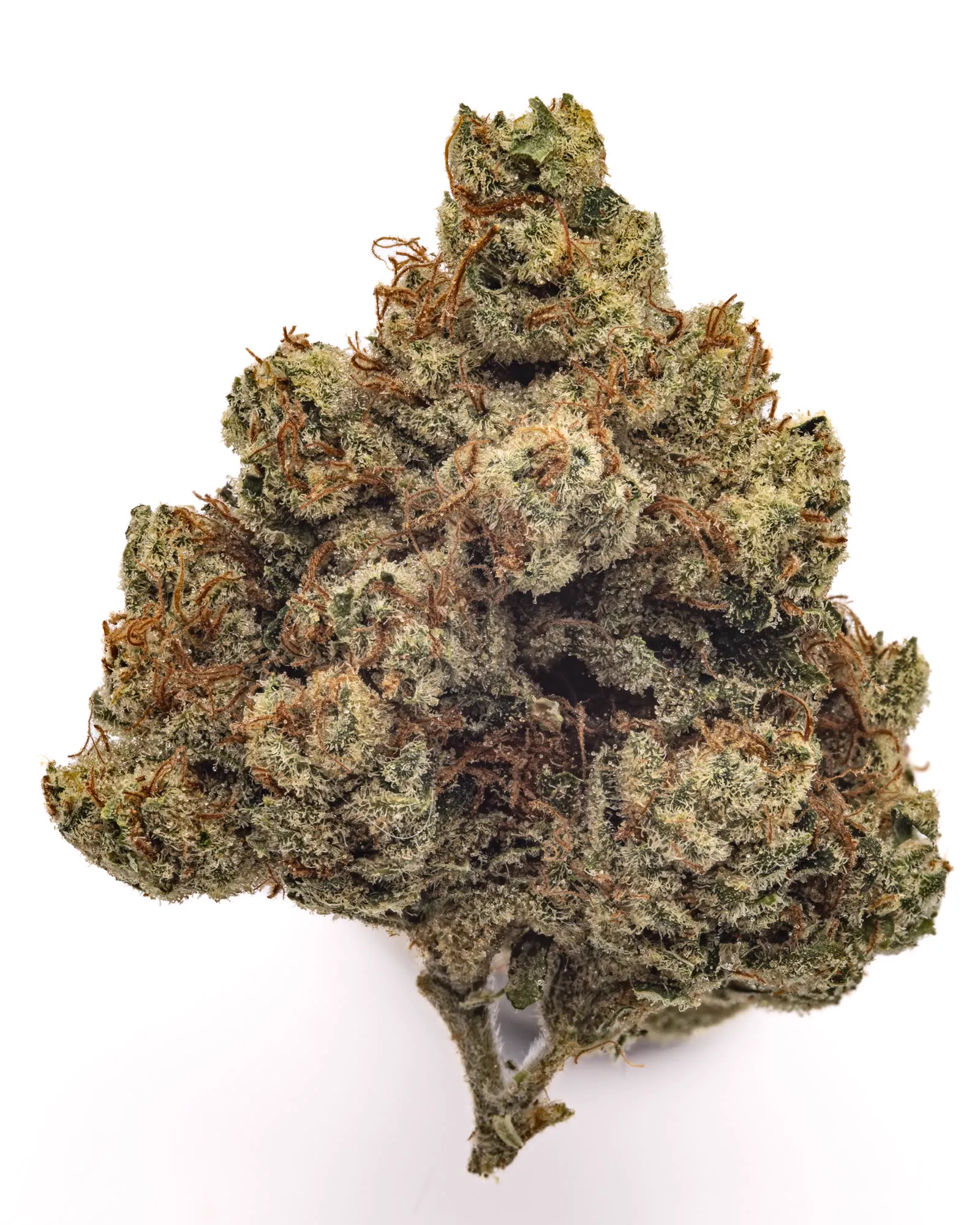92 OG Kush flower