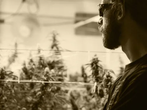 The Strain Master: Pursuing the Perfect Flower
