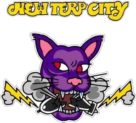 New Terp City logo