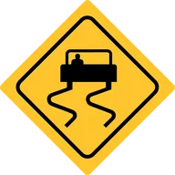 SKIDZ logo
