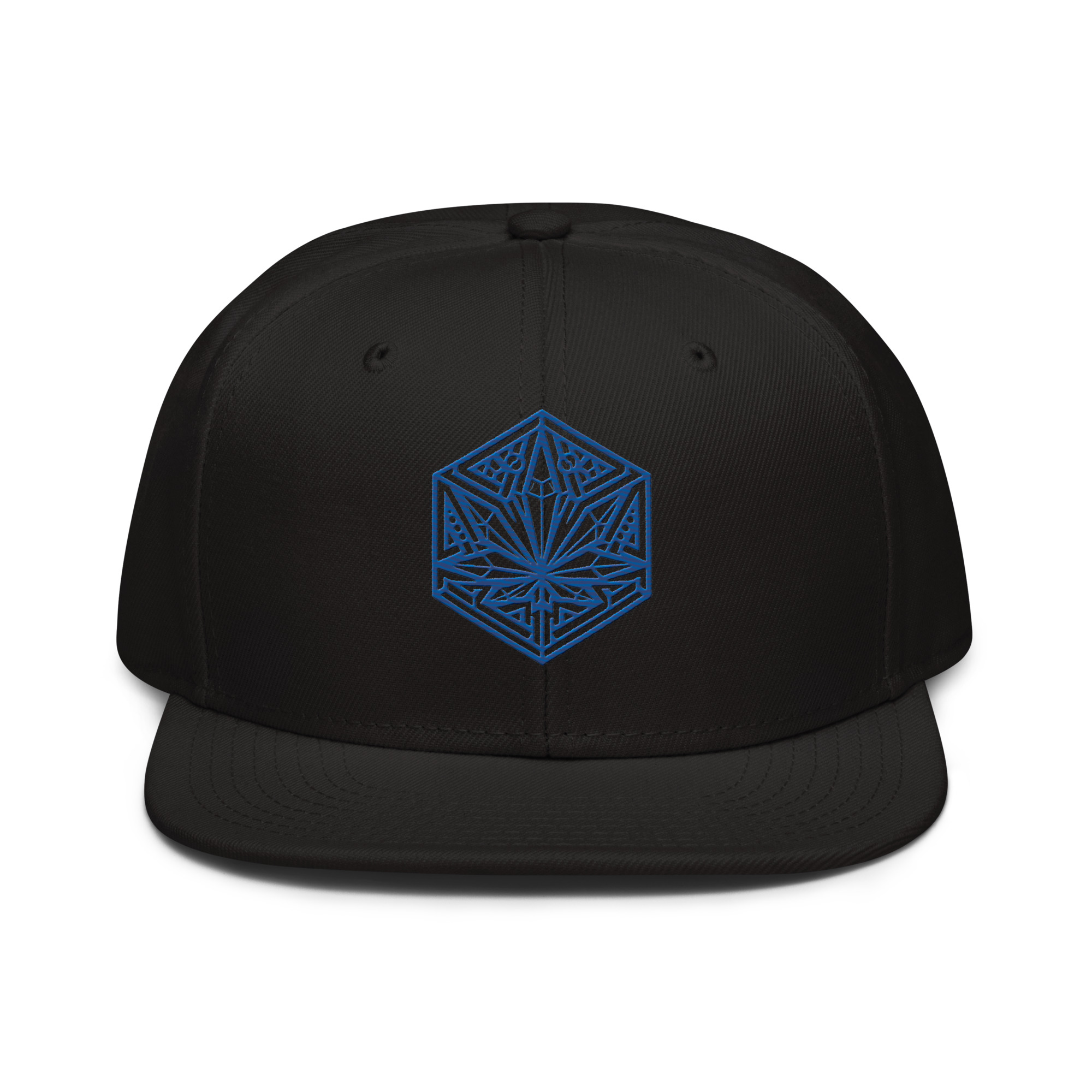 Blueberry Headband - Headymonster Snapback Hat