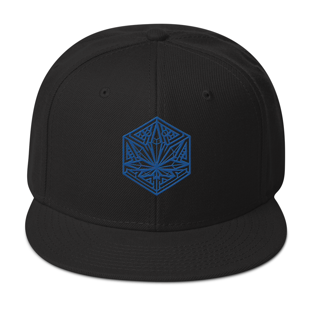 Blueberry Headband - Headymonster Snapback Hat - Image 7